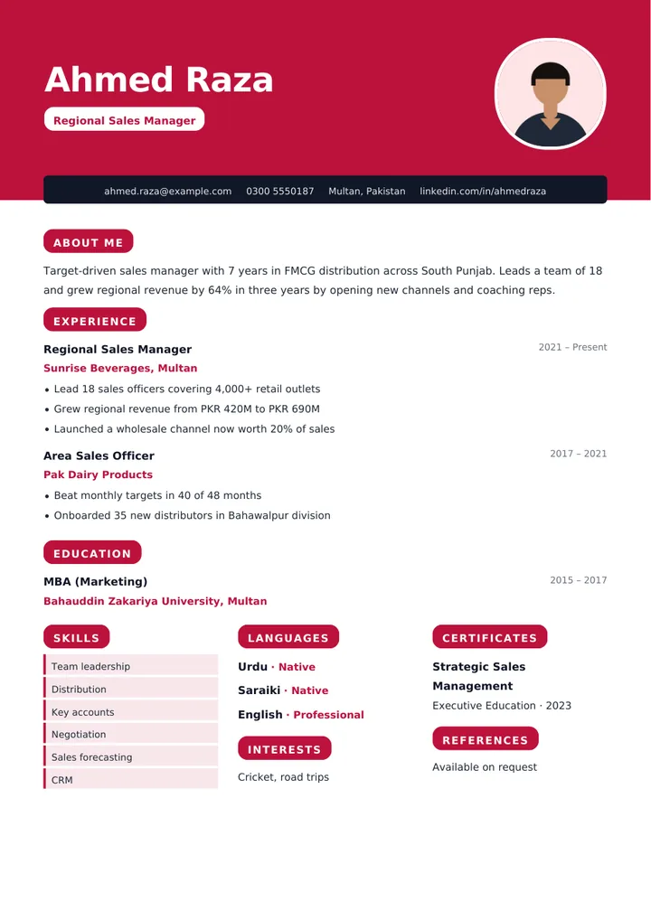 Bold CV template example