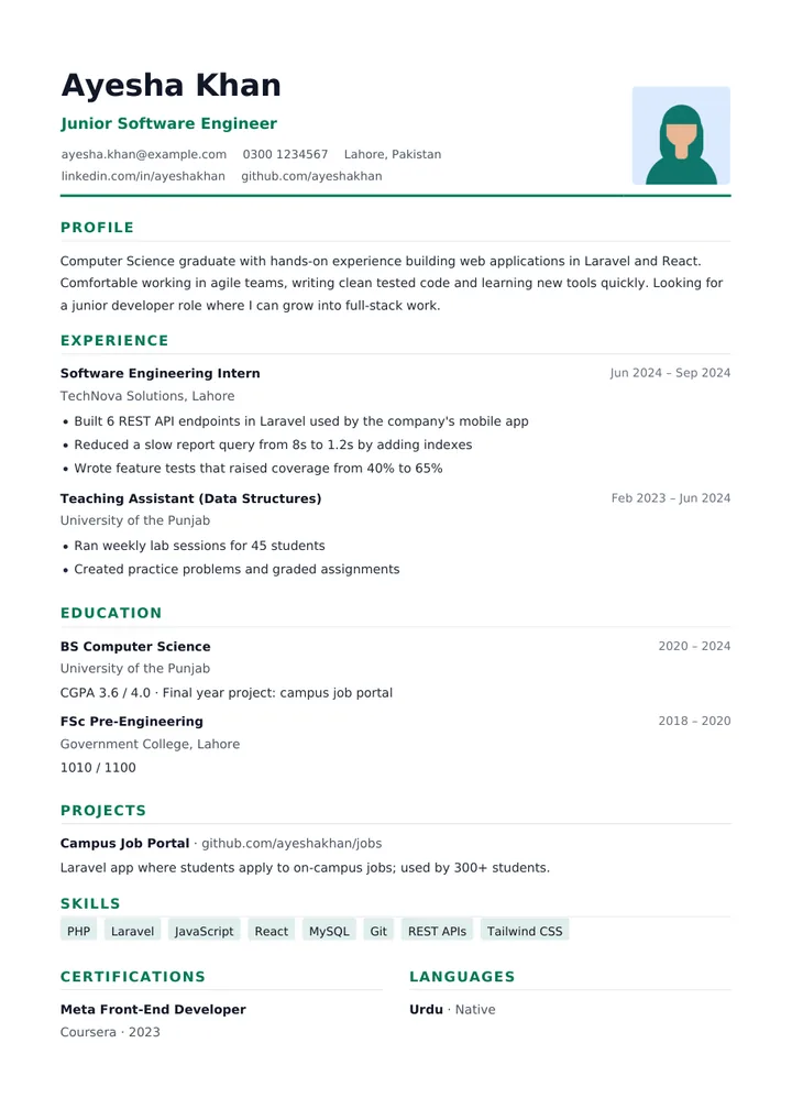 Classic CV template example