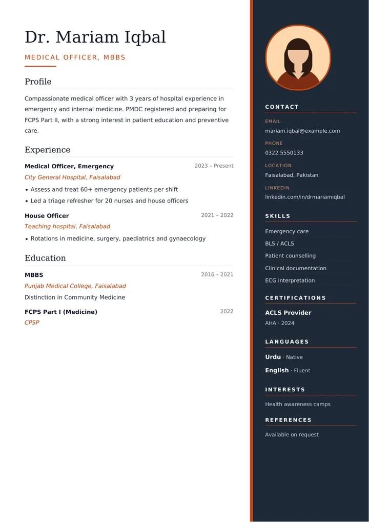 Elegant CV template example