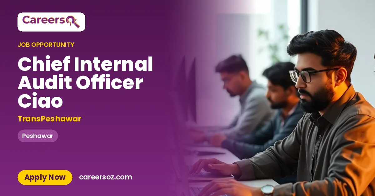 Chief Internal Audit Officer Ciao – TransPeshawar