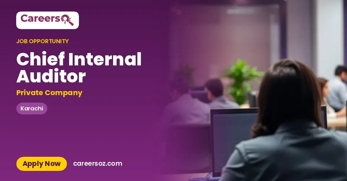 Chief Internal Auditor – Private Company