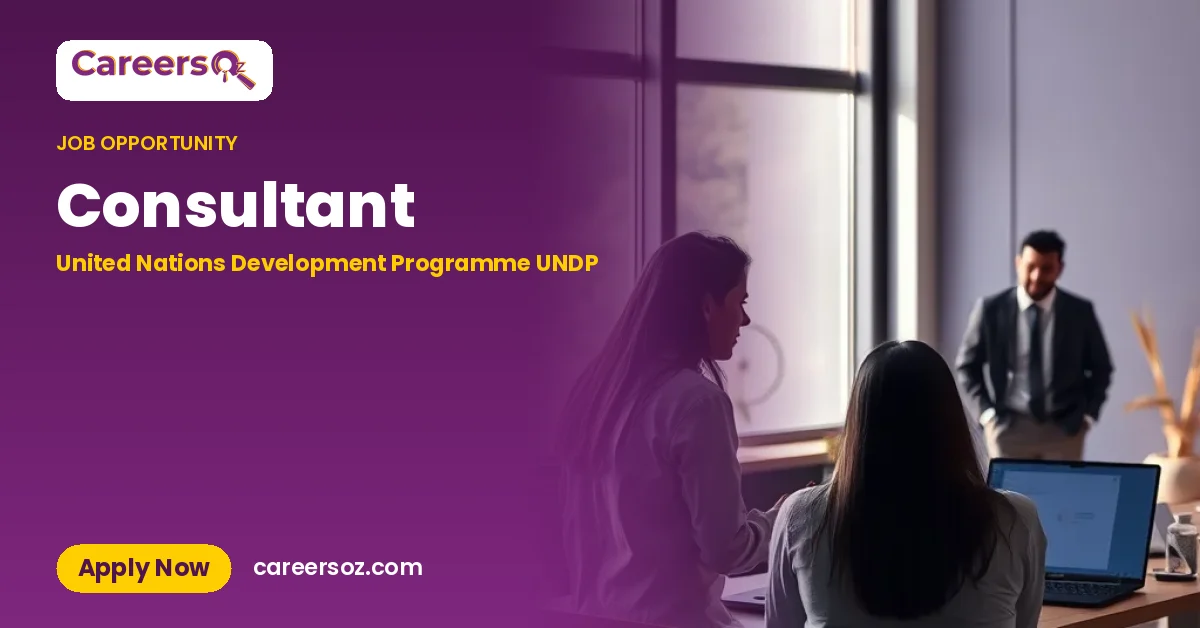 Consultant – United Nations Development Programme UNDP