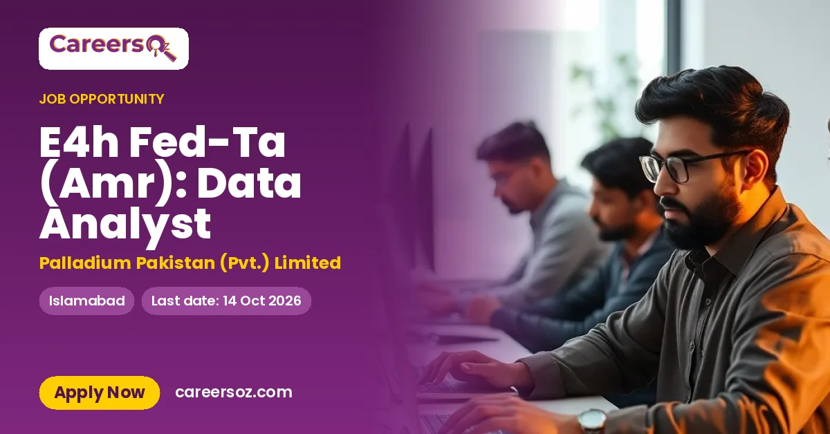 E4h Fed-Ta (Amr): Data Analyst – Palladium Pakistan (Pvt.) Limited