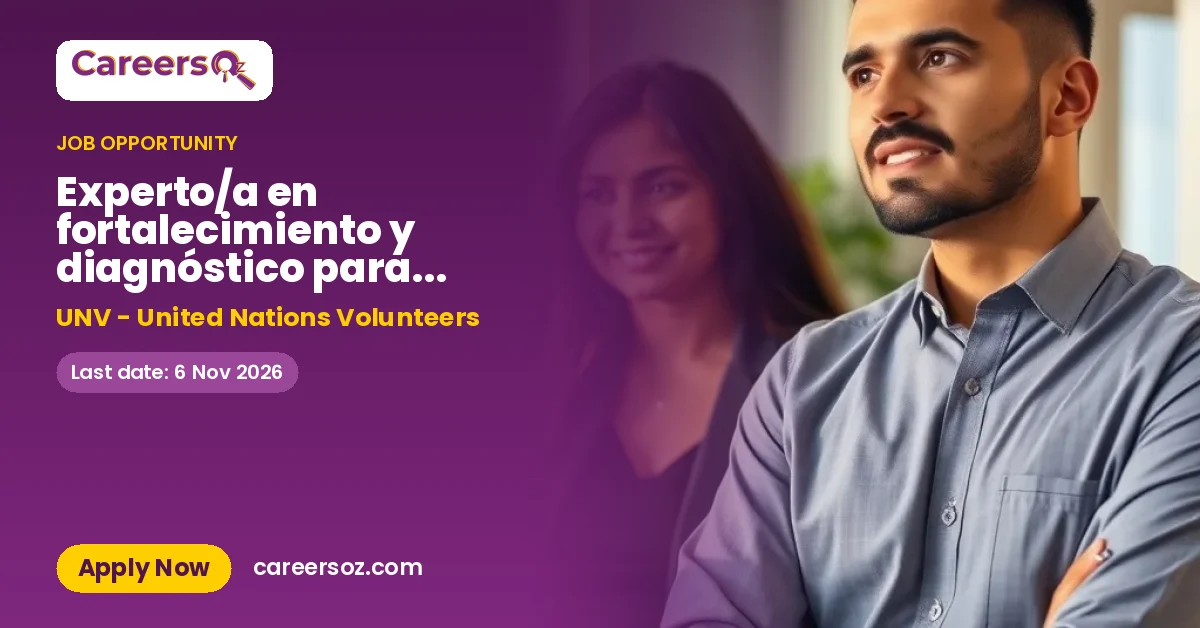 Experto/a en fortalecimiento y diagnóstico para la implementación de los WEPs – UNV - United Nations Volunteers