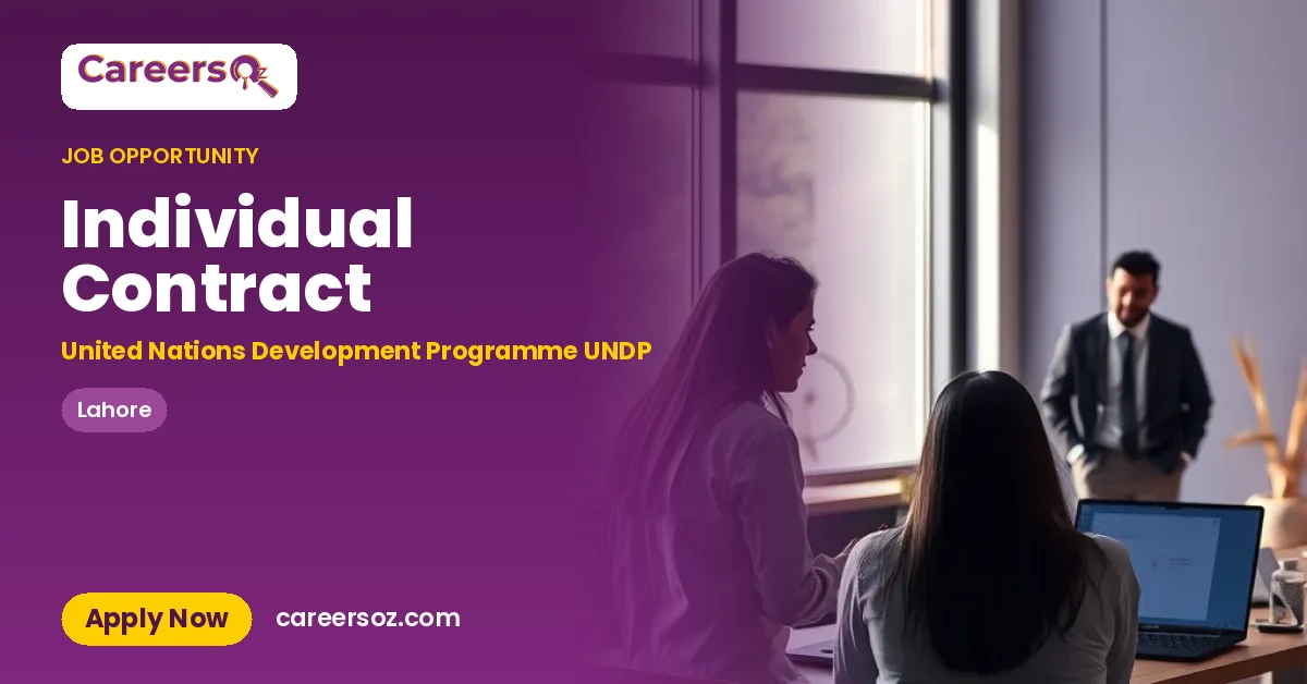 Individual Contract – United Nations Development Programme UNDP