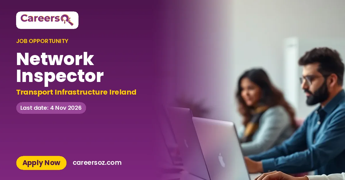Network Inspector – Transport Infrastructure Ireland