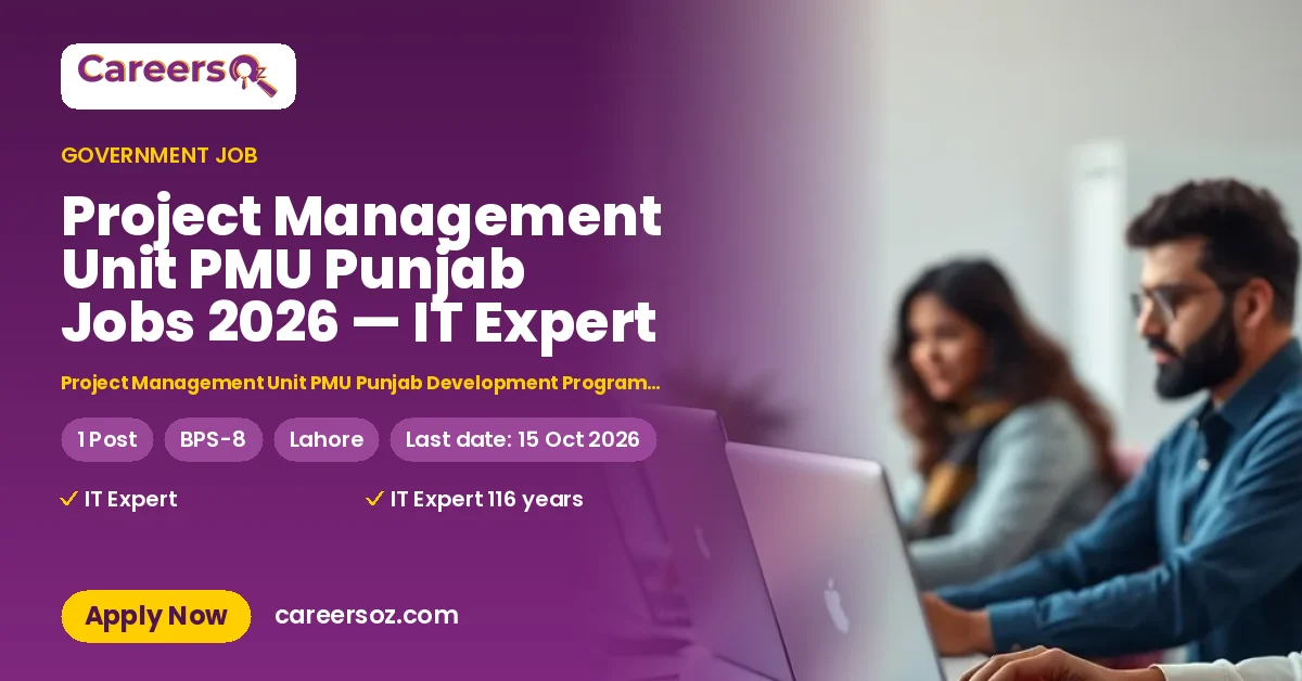 Project Management Unit PMU Punjab Jobs 2026 — IT Expert – Project Management Unit PMU Punjab Development Program (WASA Part)