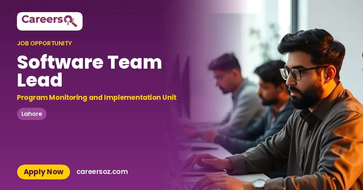 Software Team Lead – Program Monitoring and Implementation Unit