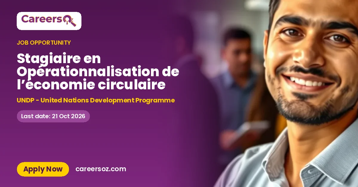 Stagiaire en Opérationnalisation de l’économie circulaire – UNDP - United Nations Development Programme